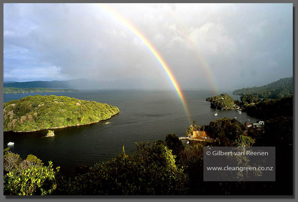 Stewart Island Photos